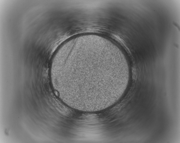 X0000102461260200809051301