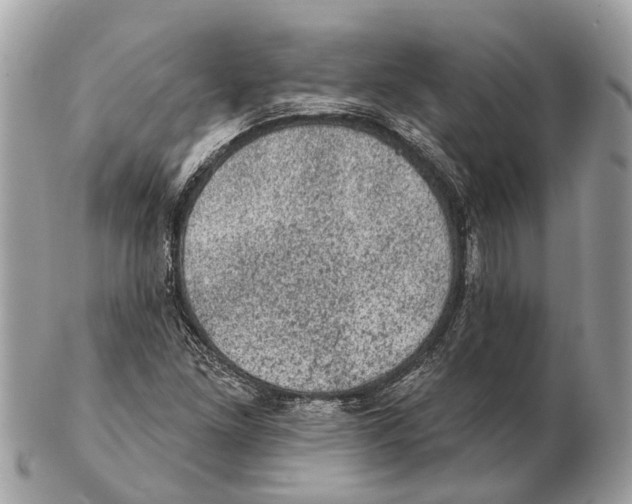 X0000102461261200809051301