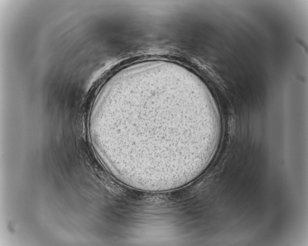 X0000102461262200809051301