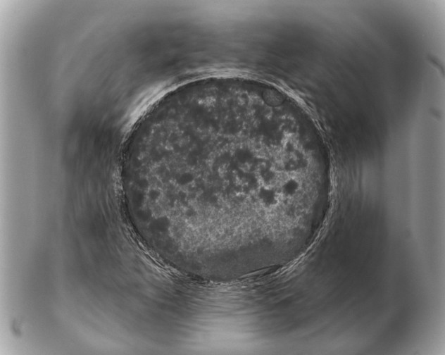 X0000102461263200809051301