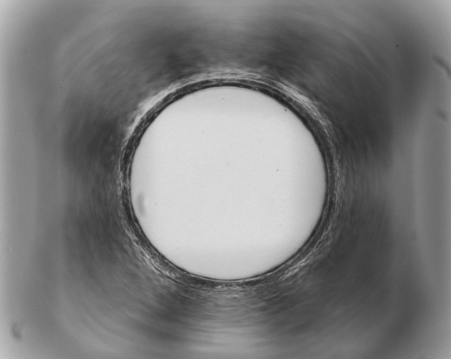 X0000102461264200809051301