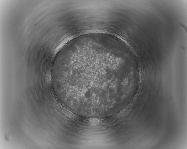 X0000102461266200809051301