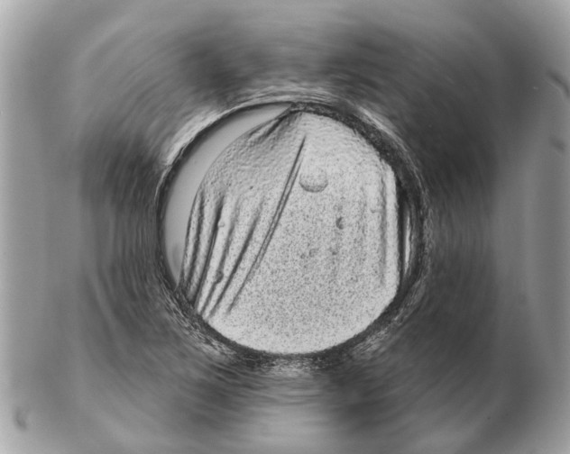 X0000102461267200809051301