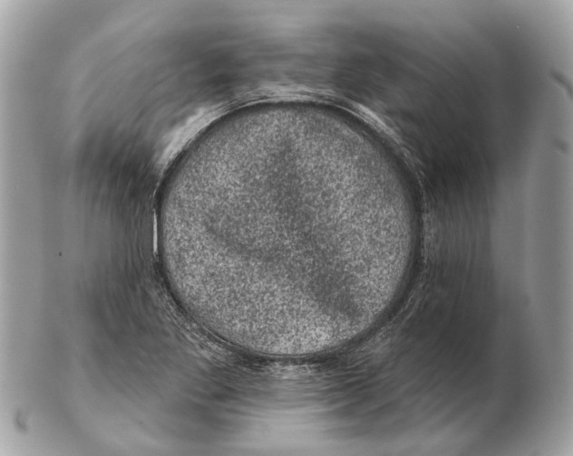 X0000102461269200809051301