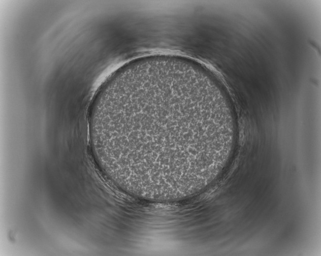 X0000102461271200809051301