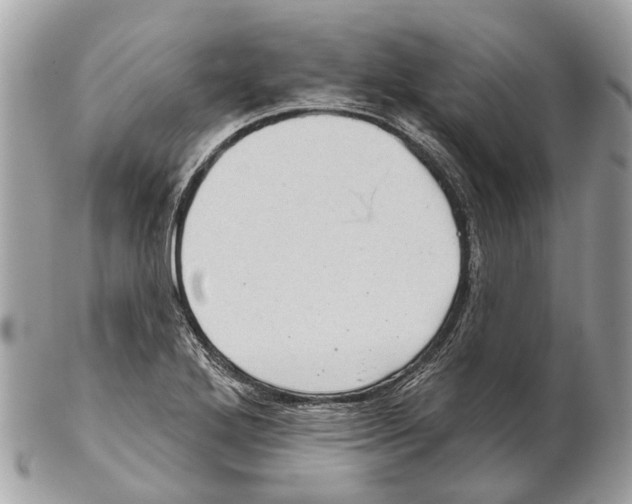 X0000102461272200809051301