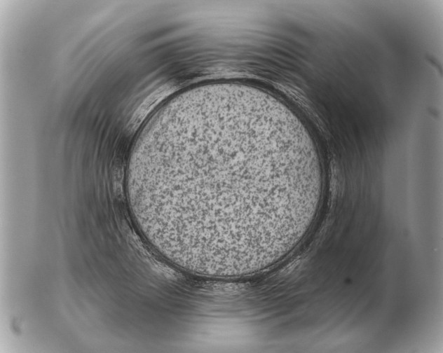 X0000102461273200809051301