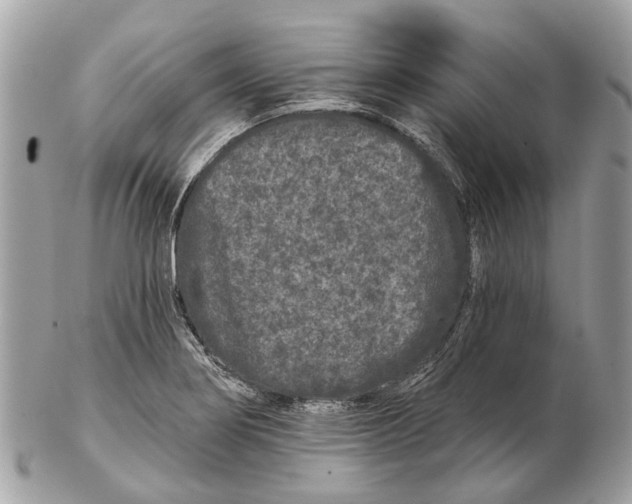 X0000102461274200809051301