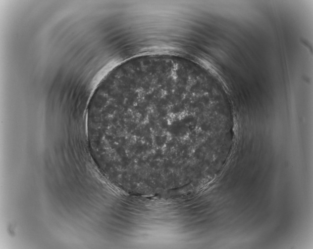 X0000102461275200809051301