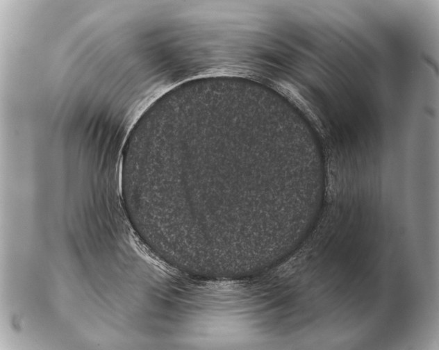 X0000102461276200809051301