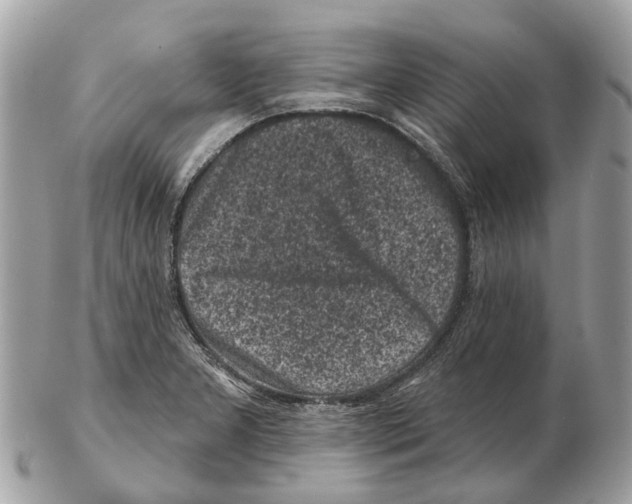 X0000102461277200809051301