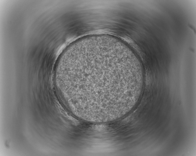 X0000102461278200809051301