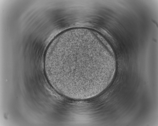 X0000102461280200809051301