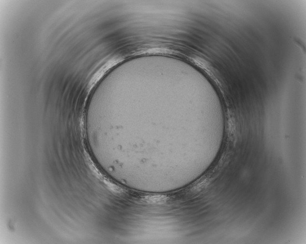 X0000102461282200809051301