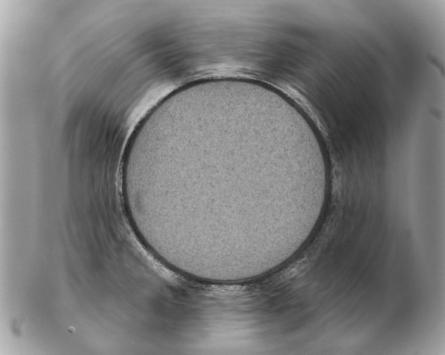 X0000102461285200809051301