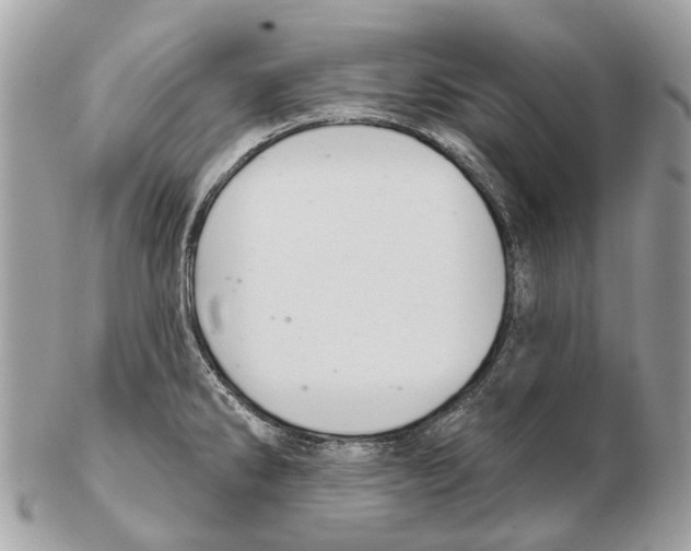 X0000102461286200809051301