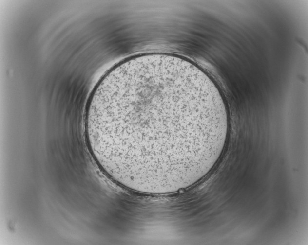 X0000102461288200809051301
