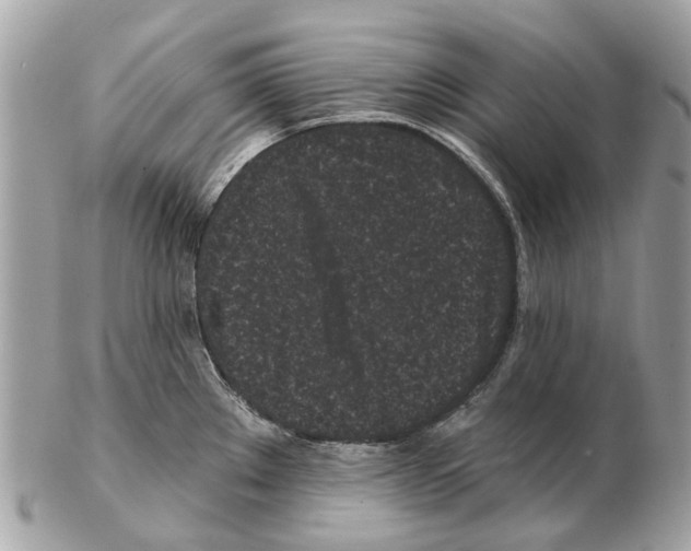 X0000102461289200809051301