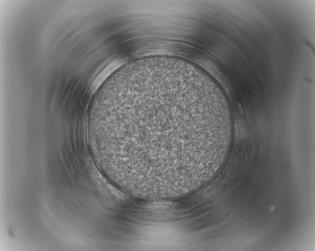 X0000102461290200809051301