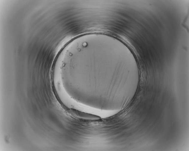 X0000102461291200809051301
