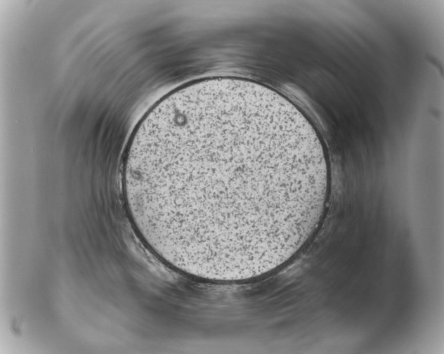 X0000102461292200809051301
