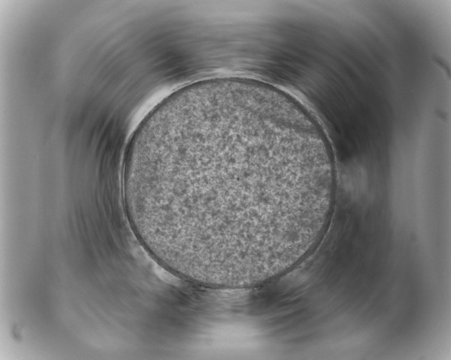 X0000102461294200809051301