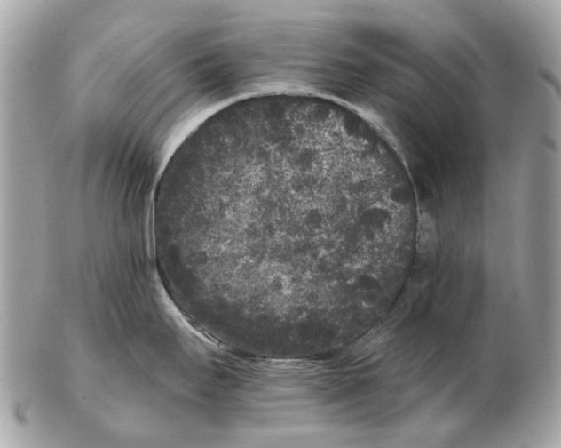 X0000102461295200809051301