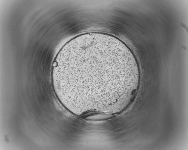 X0000102461296200809051301