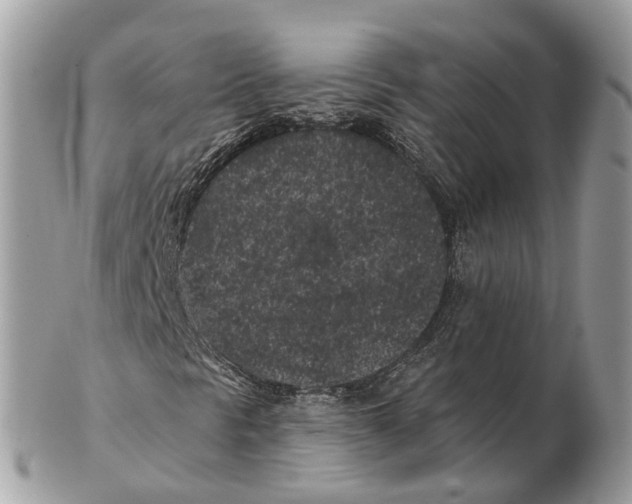 X0000102461297200809051300