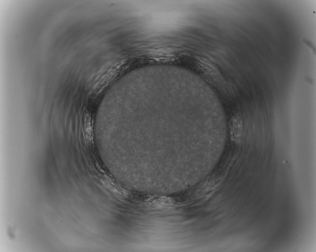 X0000102461298200809051300