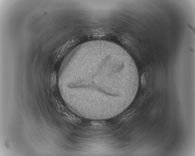 X0000102461299200809051300