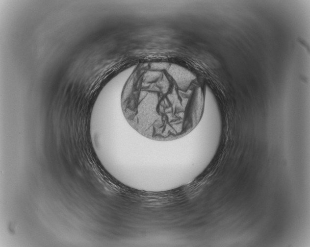 X0000102461300200809051300