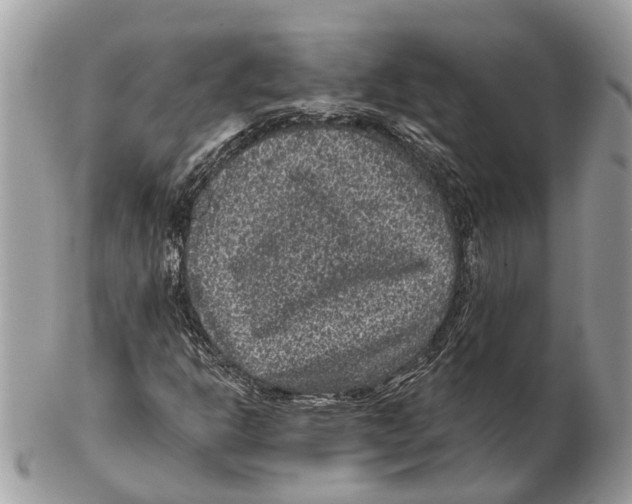 X0000102461302200809051300