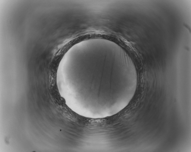 X0000102461303200809051300
