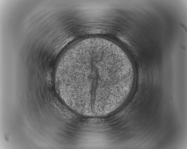 X0000102461305200809051300