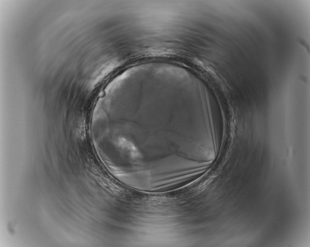 X0000102461306200809051300