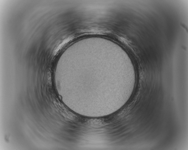 X0000102461307200809051300