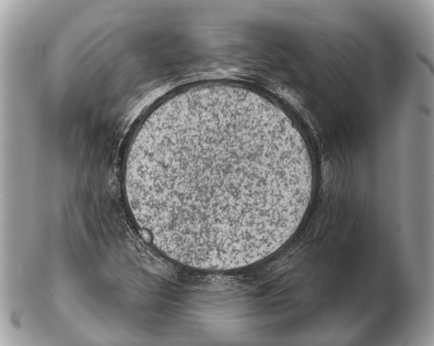 X0000102461308200809051300