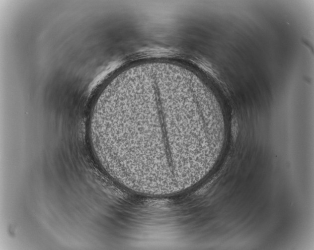 X0000102461309200809051300