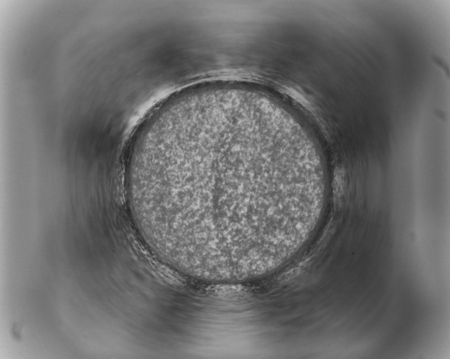 X0000102461310200809051300