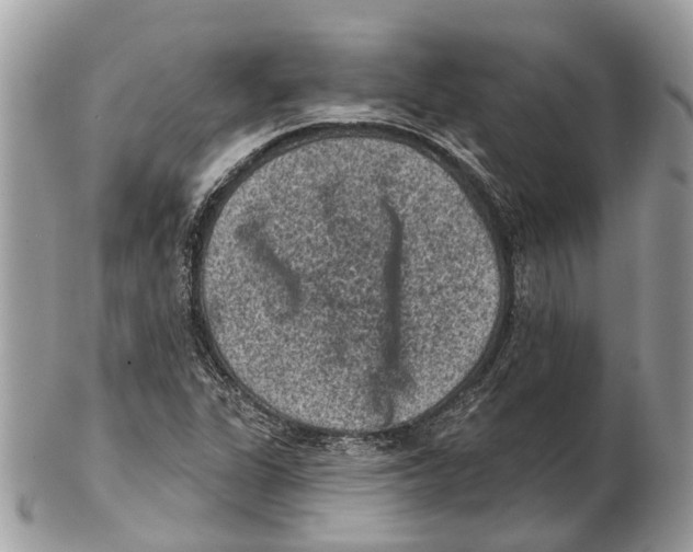 X0000102461311200809051300