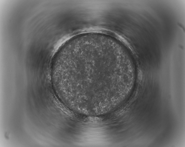 X0000102461312200809051300