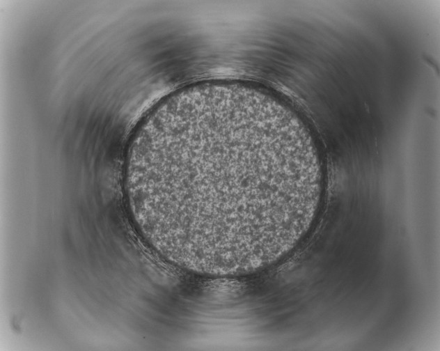 X0000102461314200809051301