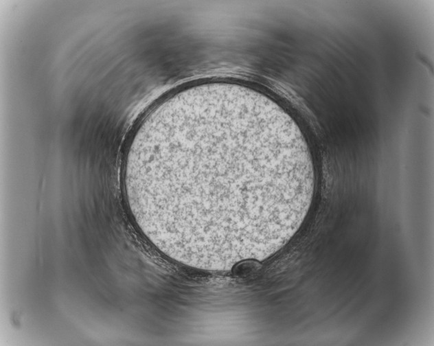 X0000102461316200809051301