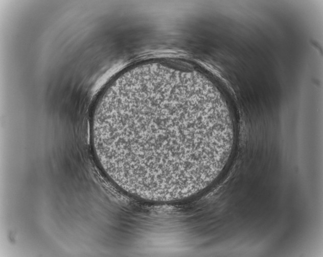 X0000102461317200809051301