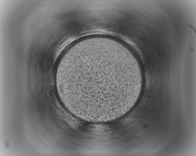 X0000102461318200809051301