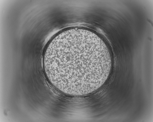 X0000102461320200809051301