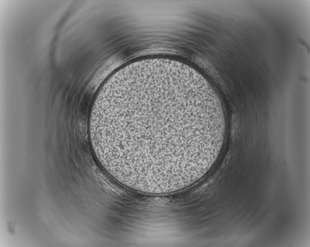 X0000102461321200809051301