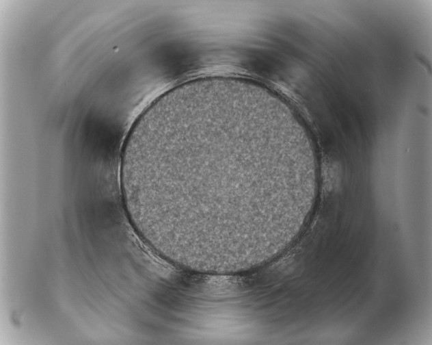 X0000102461322200809051301