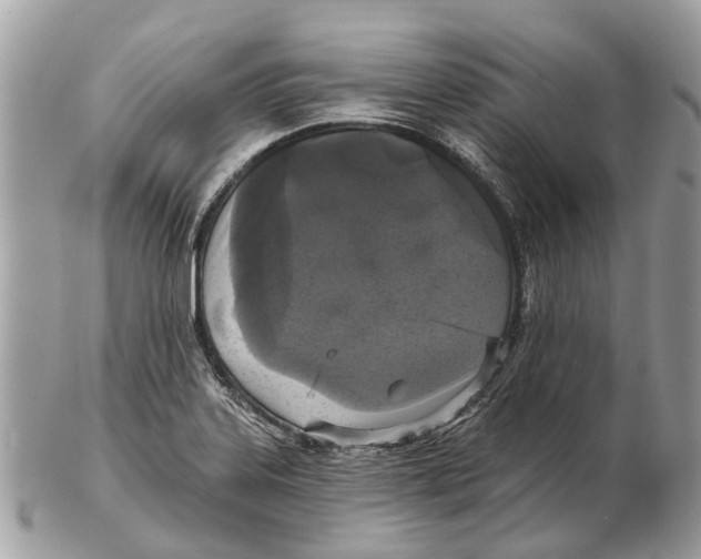 X0000102461323200809051301